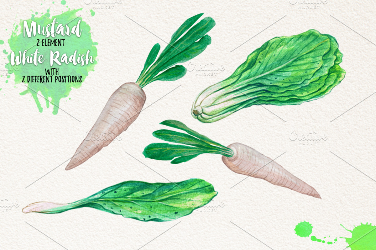 Watercolor Vegetables, Herbs, Green, an Animal Illustration by Graphobia (Photo 3 of 11)