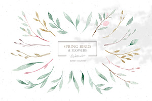 Watercolor Spring Birds & Flowers