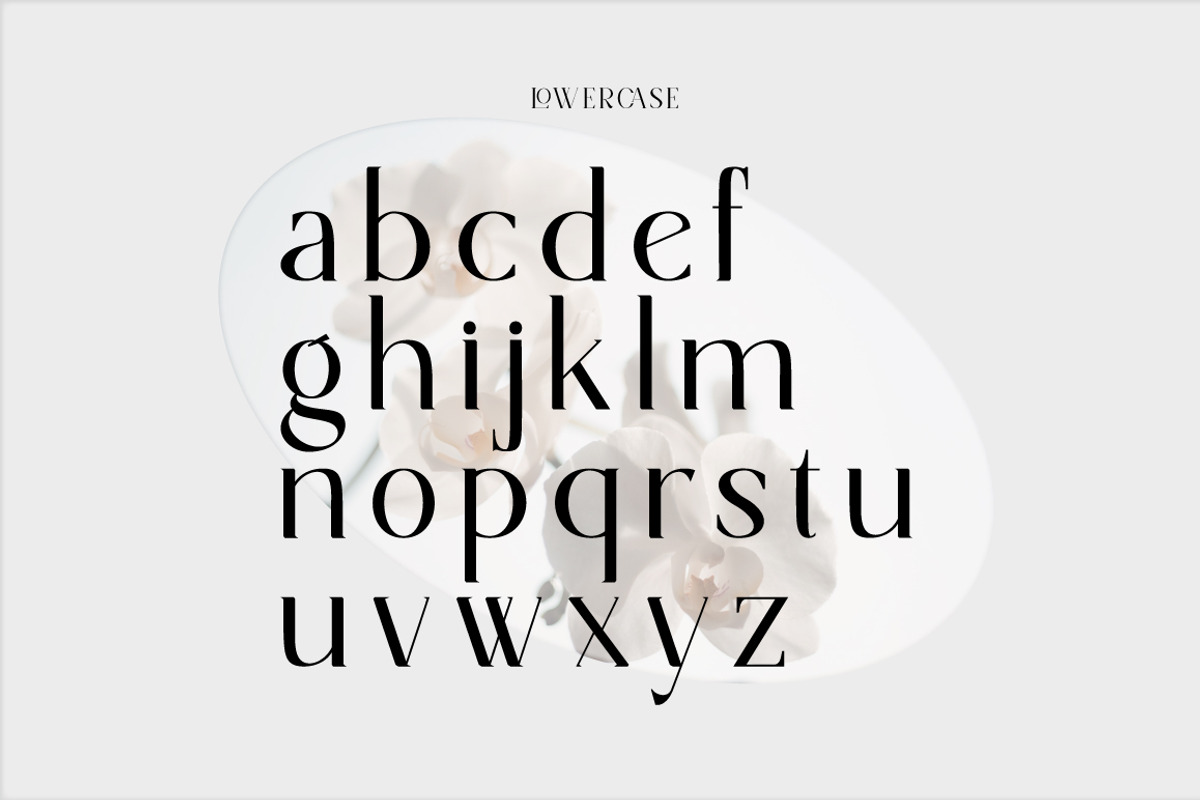 Norsel - Elegant Serif, a Serif Font by Cut Story (Photo 13 of 14)