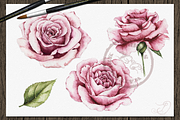 Vintage Roses Illustration, a Decorative Illustration by DioFlow (Thumbnail 2 of 5)