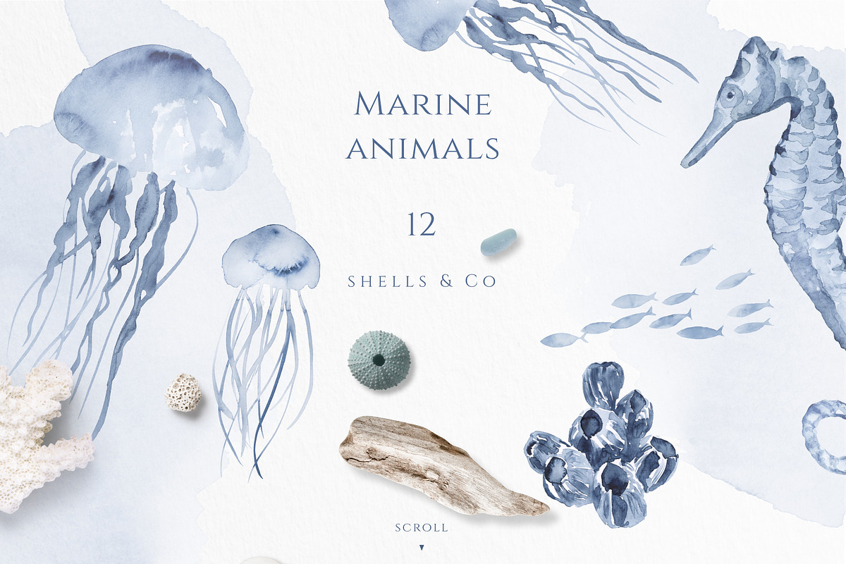 Ocean Memories Underwater Collection, an Animal Illustration by beehouse studio (Photo 5 of 12)