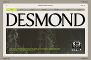 Pavilion Serif Typeface, a Serif Font by God Control (Thumbnail 6 of 12)