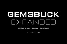 Gemsbuck 01 Modern Vintage Logo Font