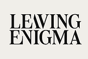 Tiramisu Sausage Rolls Serif, a Serif Font by Viswell (Thumbnail 7 of 11)