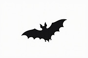 bat silhouette design bundle, an Illustration by jahid234 (Thumbnail 8 of 9)