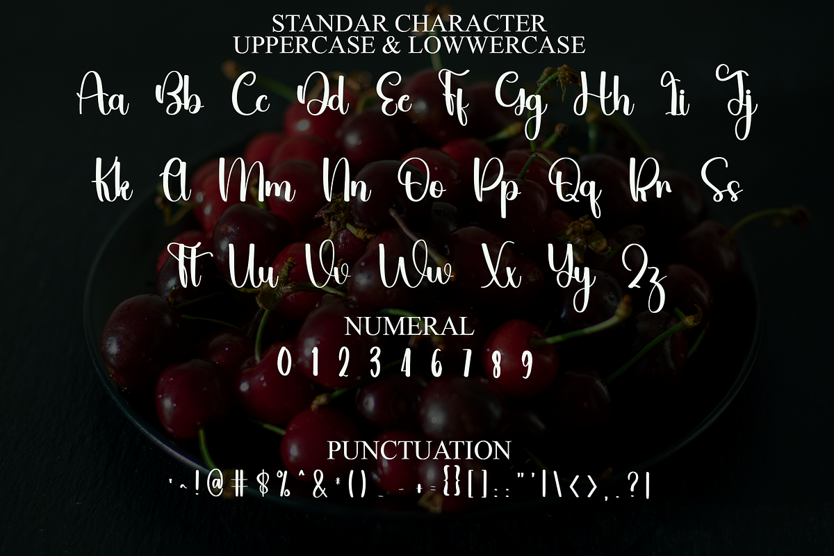 Winter Shouthmore, a Handwritten Font by FreshTypeINK (Photo 3 of 8)