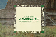 Ramblings Hand Crafted Western Font, a Serif Font by Madeline ODonoghue Design (Thumbnail 6 of 8)