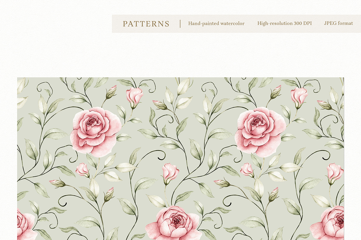 Watercolor Blush Roses Floral Set, a Decorative Illustration by Carol Lozove (Photo 45 of 50)