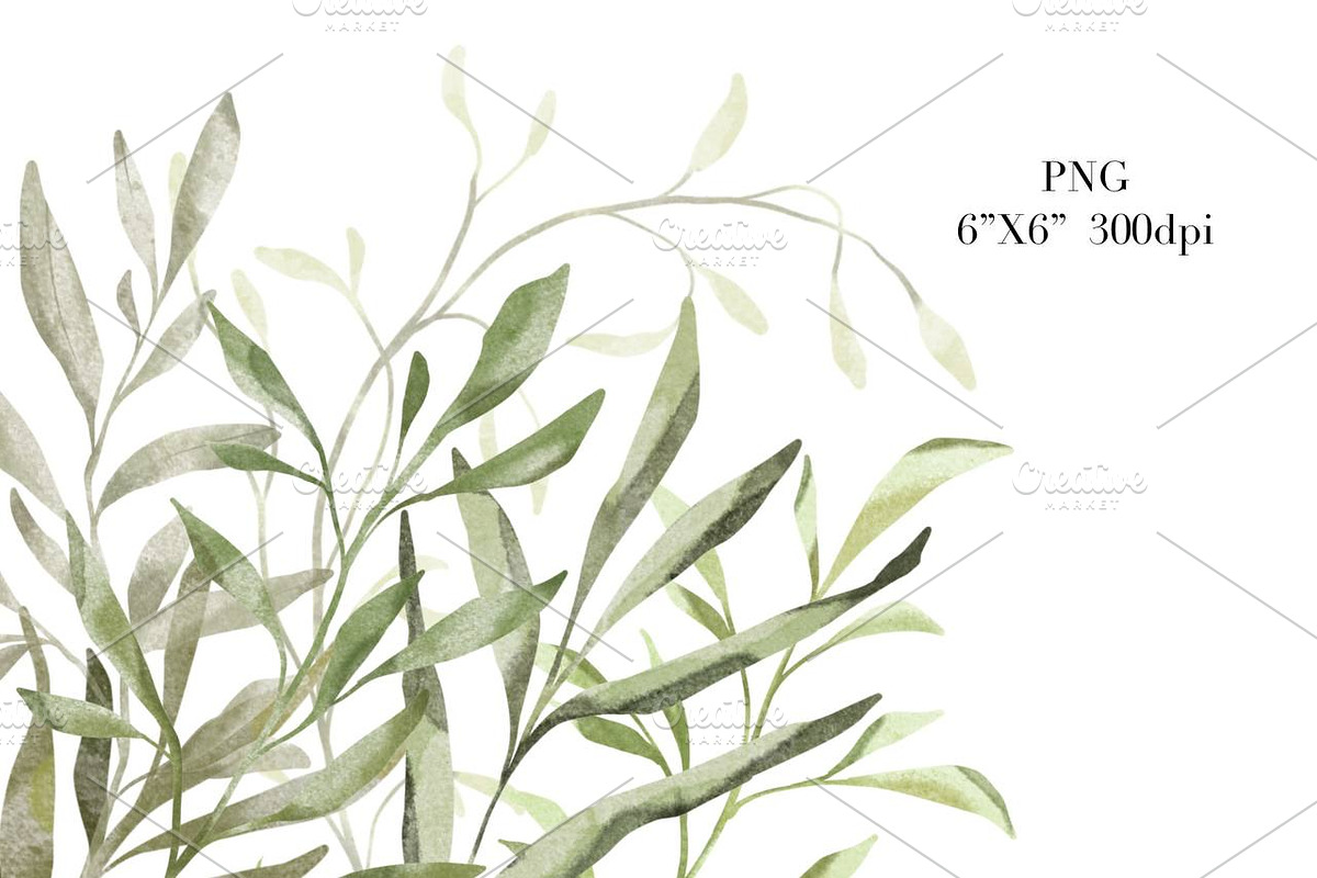 Greenery Watercolor Clipart, a Decorative Illustration by NKTKNS (Photo 7 of 9)