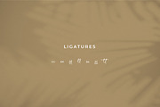 Shaquetta Torelly, a Handwritten Font by Integritype Studio (Thumbnail 11 of 15)