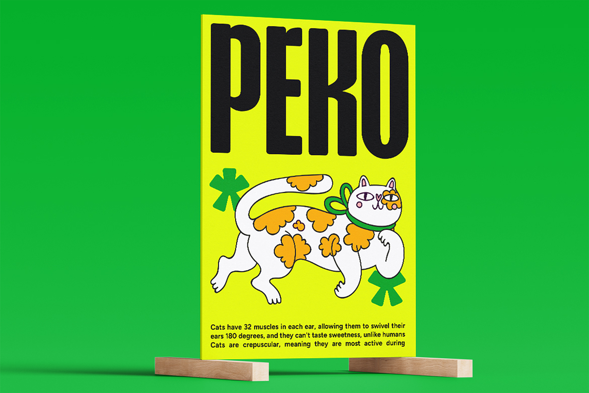Jairo - Condensed Rounded Font, a Sans Serif Font by Pekotype (Photo 8 of 16)