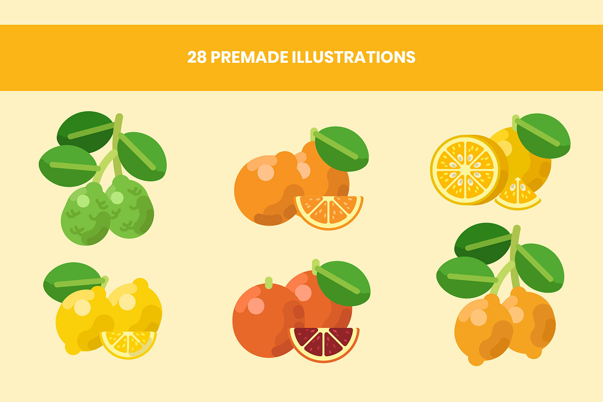 Citrus Fruit Illustrations Set, a Food Illustration by DailyYouth (Photo 3 of 5)