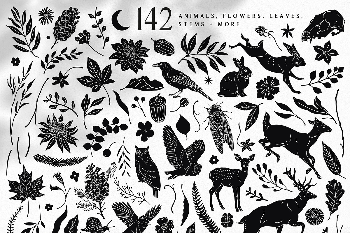 Monochrome Magic 4 in 1 Bundle, a Decorative Illustration by rouxsupplyco (Photo 7 of 27)