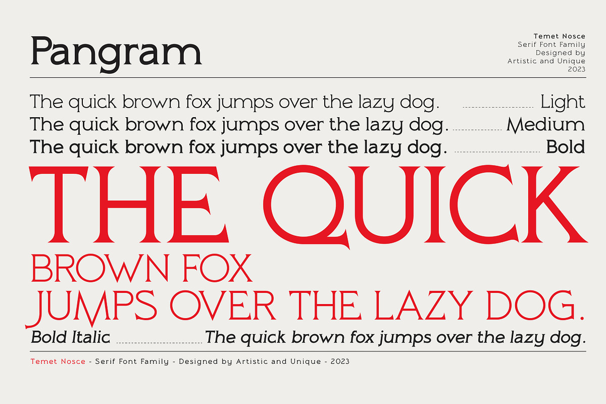 Temet Nosce - Serif font family, a Serif Font by Artistic & Unique (Photo 5 of 15)