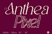 CS Anthea Pixel, a Serif Font by Craft Supply Co. (Thumbnail 1 of 8)