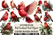 Watercolor Red Cardinal Bird Clipart, an Illustration by Craft Nest (Thumbnail 1 of 4)