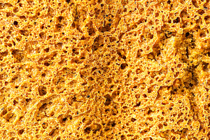 Close detailed macro view of wholesome whole grain bread texture showing the po, a Food & Drink Photo by Eugene_Photo