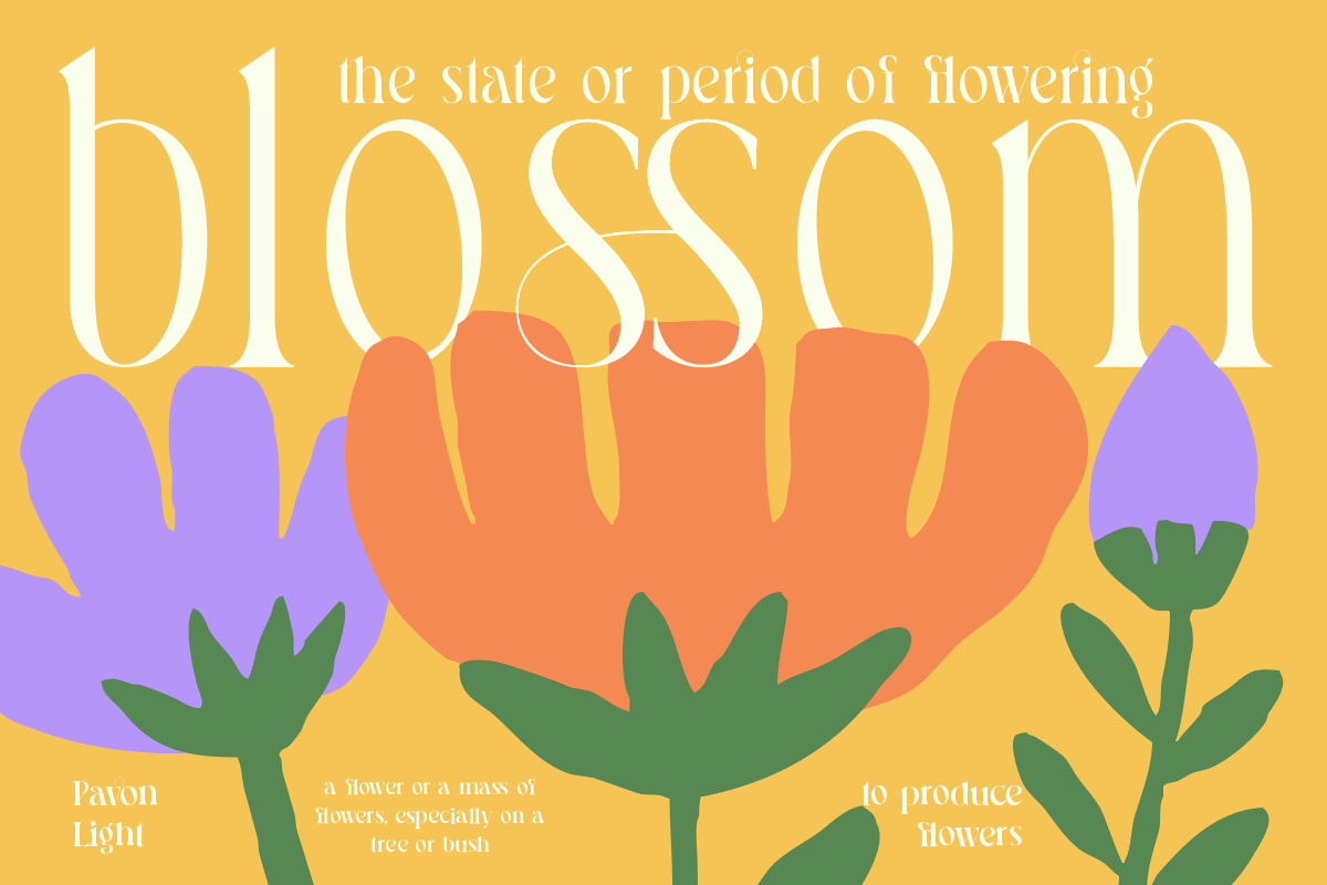 Pavon - 6 Tropic Family, a Serif Font by Dharmas Studio (Photo 9 of 16)