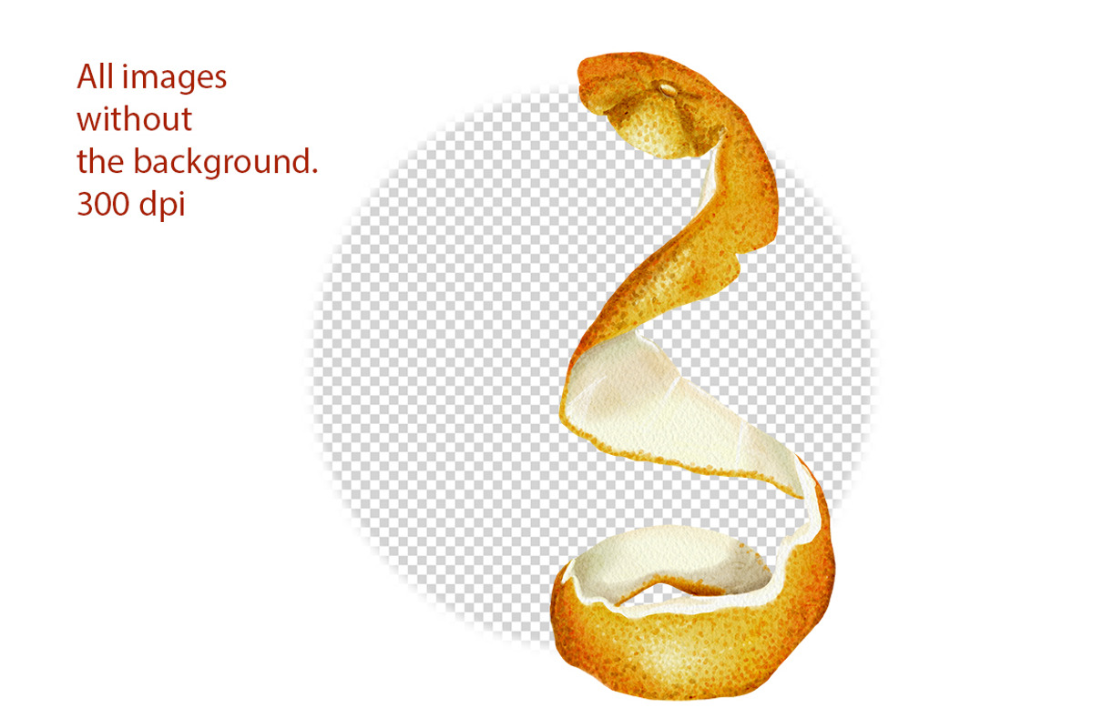 Oranges flowers and fruits clip art, a Food Illustration by Alena Sid (Photo 4 of 14)