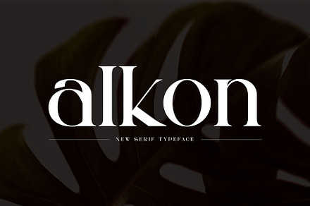 Alkon Modern Serif Typeface