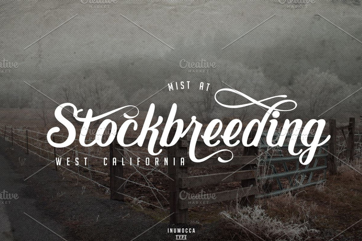 Early Morning Typeface preview 5