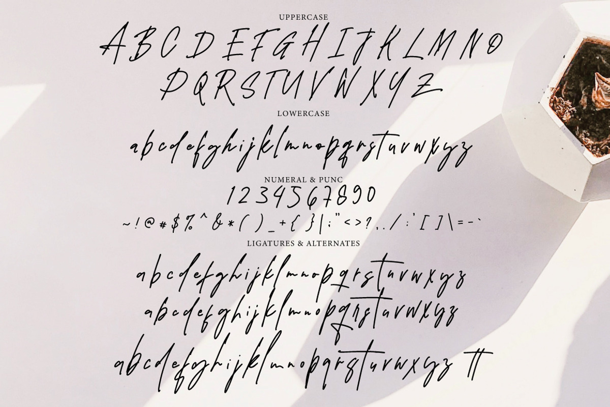 Windya - Handwritten Signature, a Font by tebaltipislab (Photo 5 of 7)