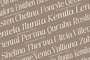 The Belvina Editorial 13 Font Style, a Serif Font by IM Studio (Thumbnail 10 of 14)