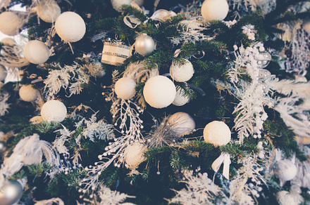 Christmas tree background with white ornaments, a Background Photo by GoodGoods