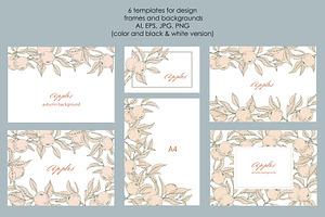 Apple Blossom & Fruit. Vector Set