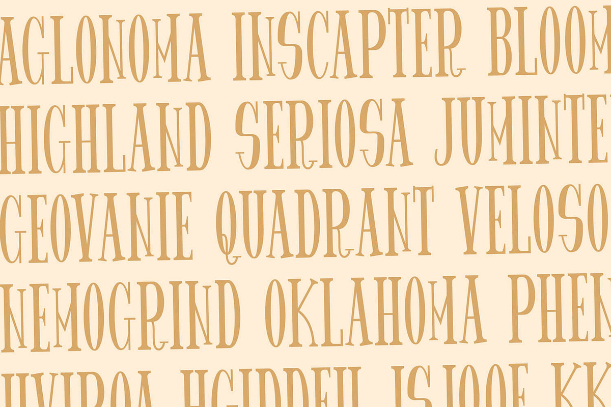 Spider King - Bouncy Serif Font, a Serif Font by StringLabs (Photo 6 of 13)
