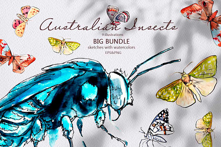 Australian insects. Set 2