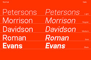 Choice Sans, a Sans Serif Font by Typehill (Thumbnail 2 of 12)