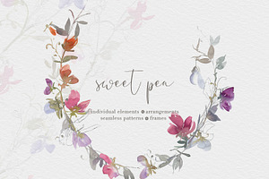 Watercolor Sweet Pea Clipart Set