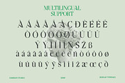 Aquifer, a Serif Font by Damelev (Thumbnail 15 of 15)