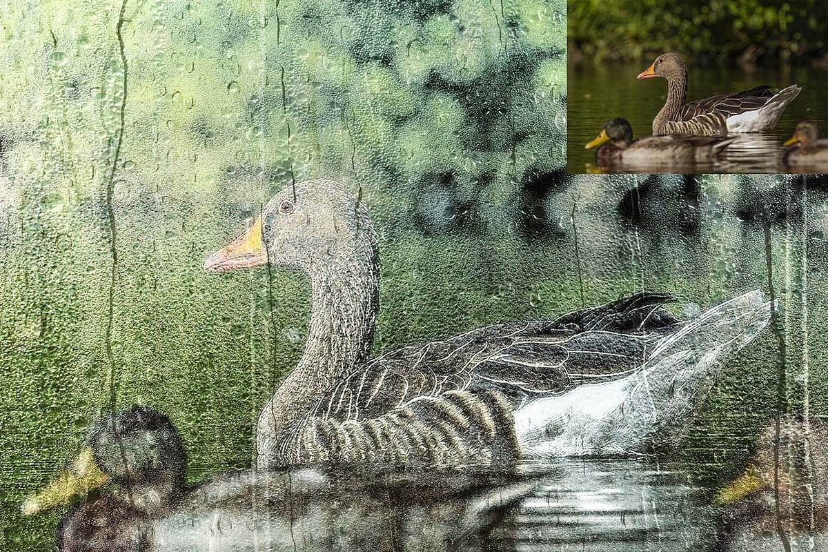 Wet Glass Overlay Photoshop Action, an Action Add-On by Studio Retouch (Photo 11 of 11)