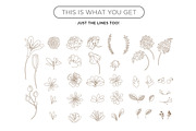 Spring Flowers . Vectors Ai, a Decorative Illustration by tomodachi studio (Thumbnail 4 of 5)