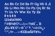 Burgela Slab Serif Typeface, a Slab Serif Font by Letterena Studios (Thumbnail 13 of 15)