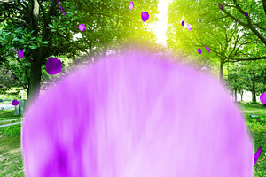 Rose Petals 4 Styles Transitions AEP