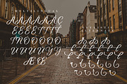 Wellington Script, a Script Font by Debut Studio (Thumbnail 8 of 8)