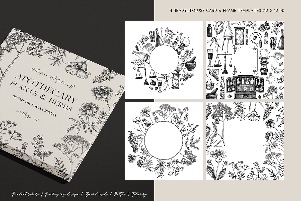 Vintage Apothecary Branding Bundle, a Healthcare Illustration by Yevheniia (Photo 7 of 11)