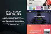 Pando Website Builder | WordPress, a WordPress Template by ThemeBear (Thumbnail 3 of 3)