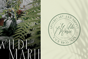 Claude Font Duo, a Script Font by Typeshelter (Thumbnail 5 of 8)