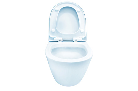 Open blue flush toilet, a Health & Medical Photo by Vapi