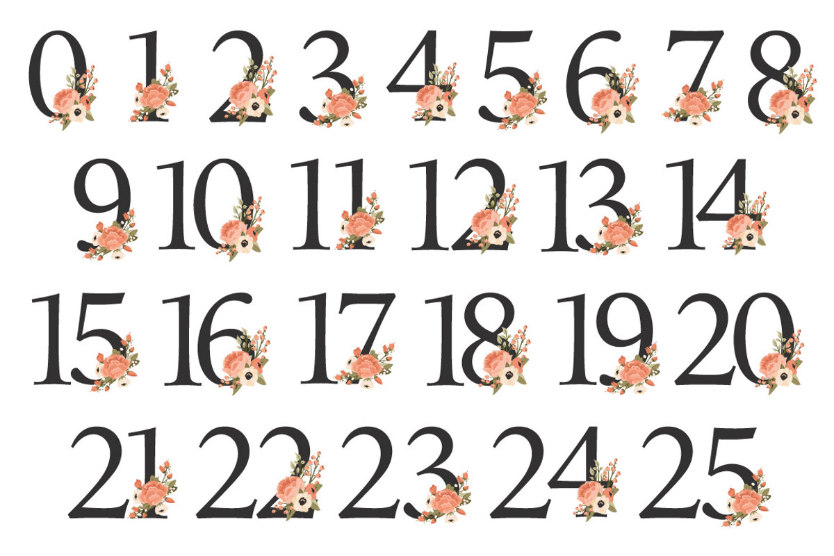 Peach Floral Numbers With Vectors, an Illustration by Amanda Ilkov (Photo 5 of 5)