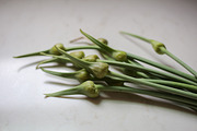 Minimalist Wellness Photo Bundle, a Health & Medical Photo by Wellness Stock Market (Thumbnail 5 of 16)
