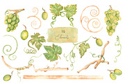 Watercolor Grapes, a Food Illustration by MayaNavits (Thumbnail 3 of 15)