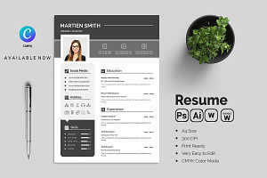 Professional Resume CV Template