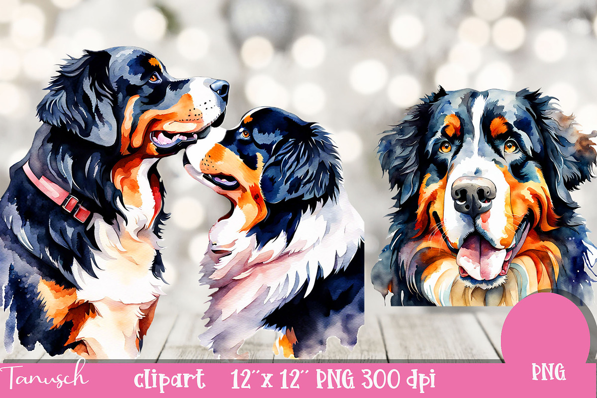 watercolor bernese mountain clipart, an Animal Illustration by TanuschArts (Photo 2 of 4)