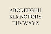 Forestyland Retro Serif Family Font, a Serif Font by UICreative (Thumbnail 6 of 13)