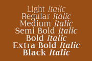 Cirvia Timeless & Fresh Serif Family, a Serif Font by Lettertype Studio (Thumbnail 3 of 15)